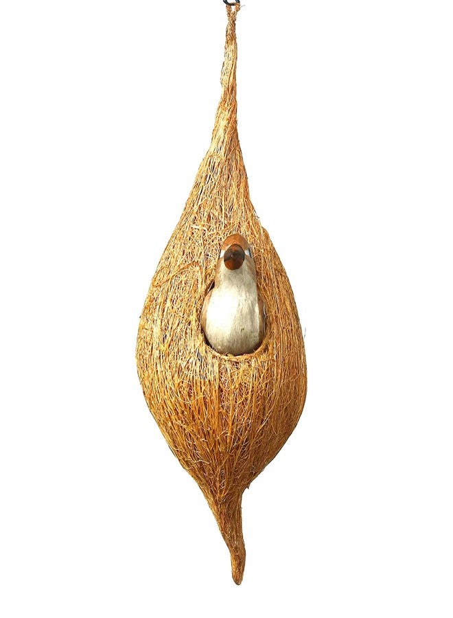 DealFry Handmade Hanging Bird Nest with Single Hole Made of Natural Coir Fiber Coconut Shell, Hanging Bird Nest for Cage and Balcony Birds Sparrows Finches Breeding (Brown | Medium) - (Set-4) - Image 5